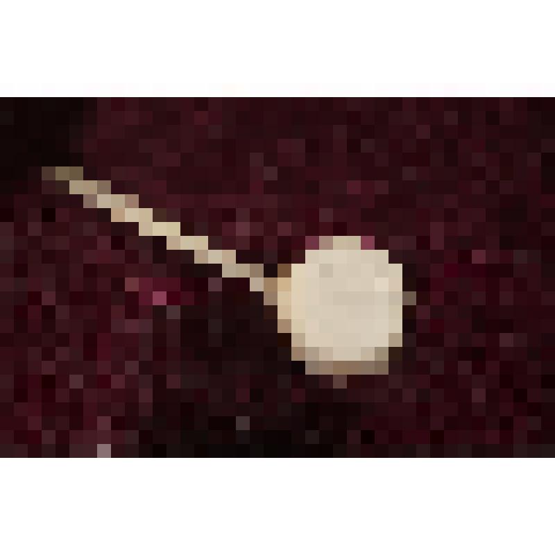 Коробка с костяными бирюльками: черпак