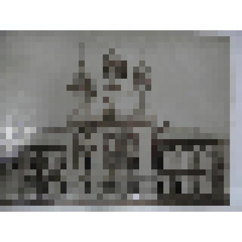 Дворцовая церковь Петра и Павла. 1747-1752 гг. Ленинградская область. Г.Петродворец. Дворцовая ц-вь Петра и Павла, 1747-1752 гг. Растрелли Франческо Бартоломео (Варфоломей Варфоломеевич). Южный фасад