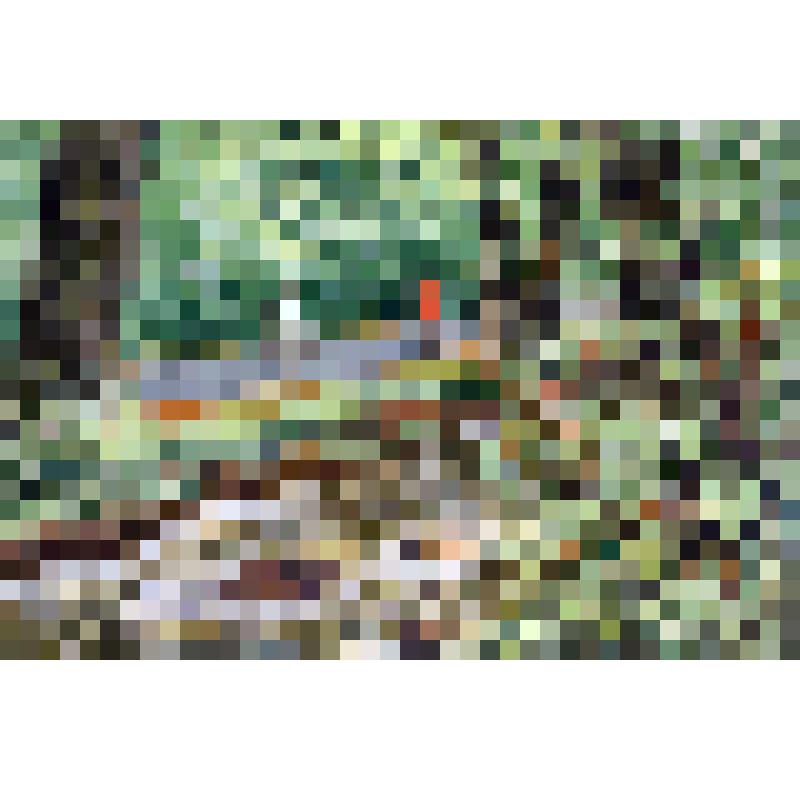 Картина. На прогулке