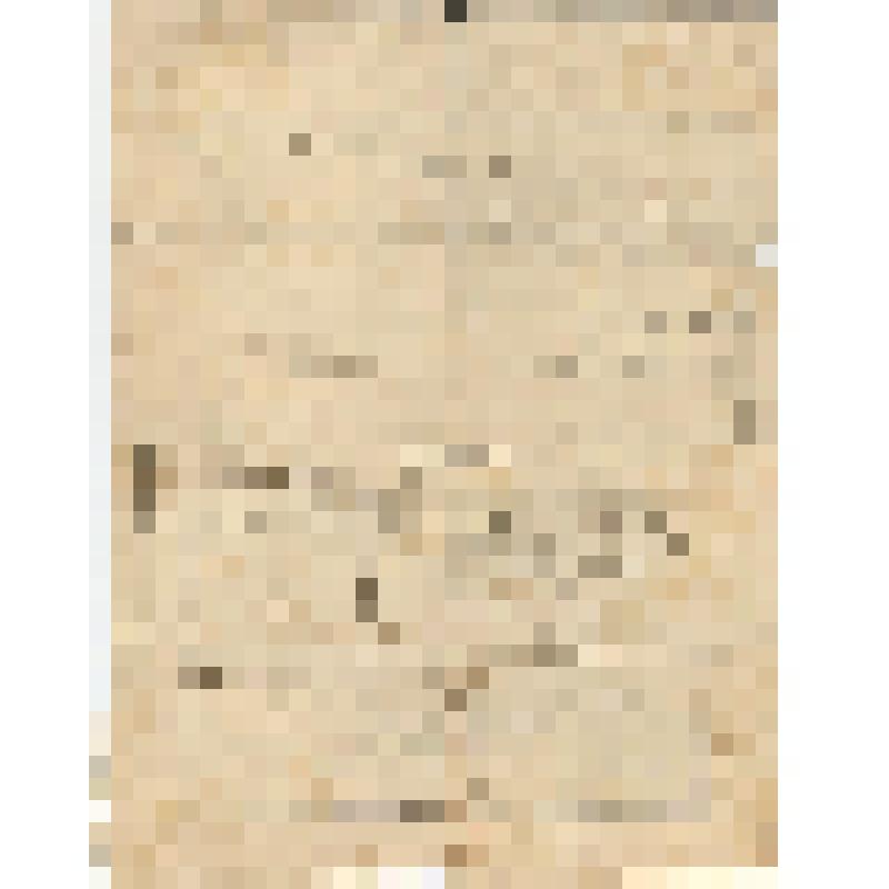 Документ, выписка о рождении Андреевой С.В