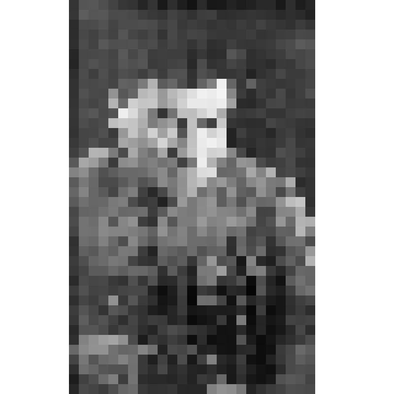 Фото ч/б. Илья Иванович Циликин