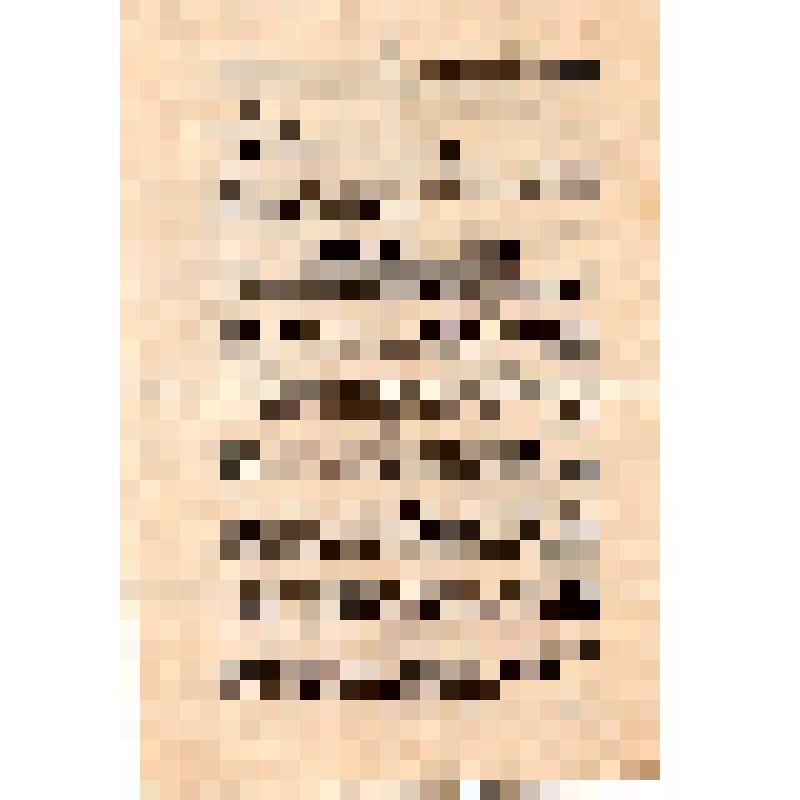 Политотдел. Малиновский, командующий войсками 2-го Украинского фронта Маршал Советского Союза и др. Смерть немецким оккупантам! : Ультиматум господину генералу, командующему немецкими и венгерскими войсками: