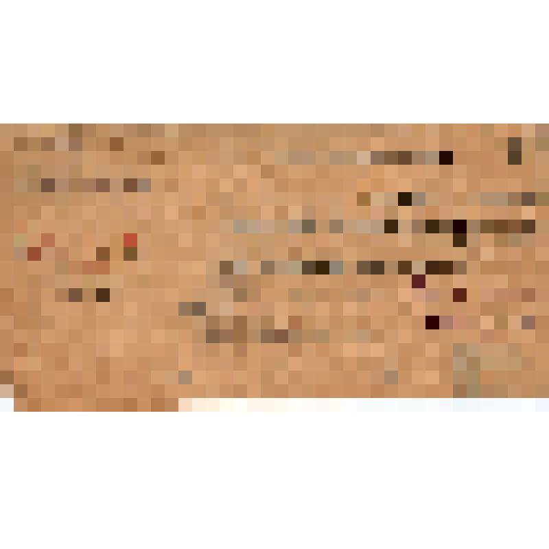 Удостоверение за N 1134 Завьялова Н.Н., члена Президиума Рабочкома Московской телефонной сети