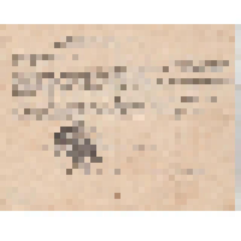 Характеристика на командира-инструктора минера Гажимаева А.М. 1945г