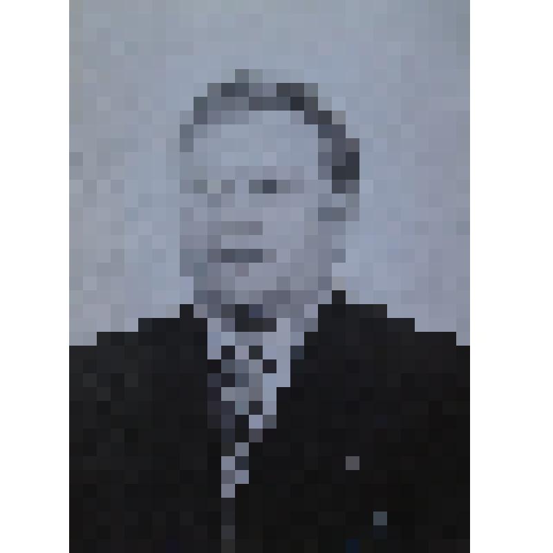 Фото Иевлев Авенир Александрович зам. главного инженера управления леспромхоза