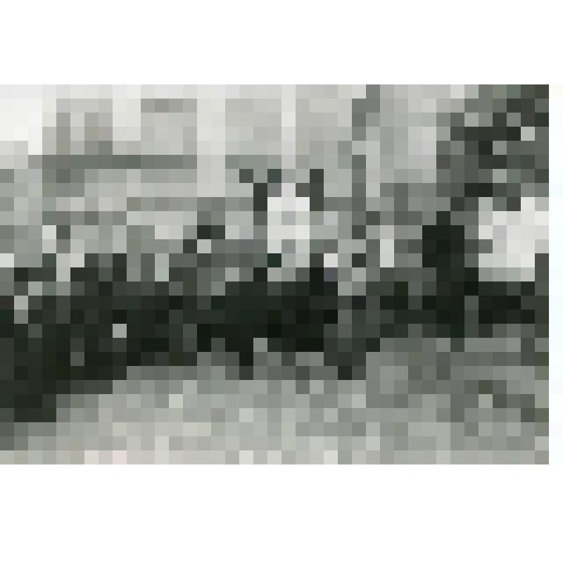 Фотография. Малый театр, перед его зданием идут в центре А.В. Луначарский, слева А.И. Южин и др. Над ними на полотне надпись "Островскому Малый театр". Москва, Малый театр