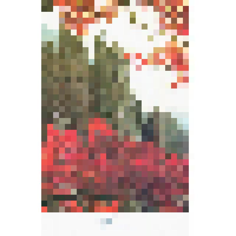 Фотооткрытка
