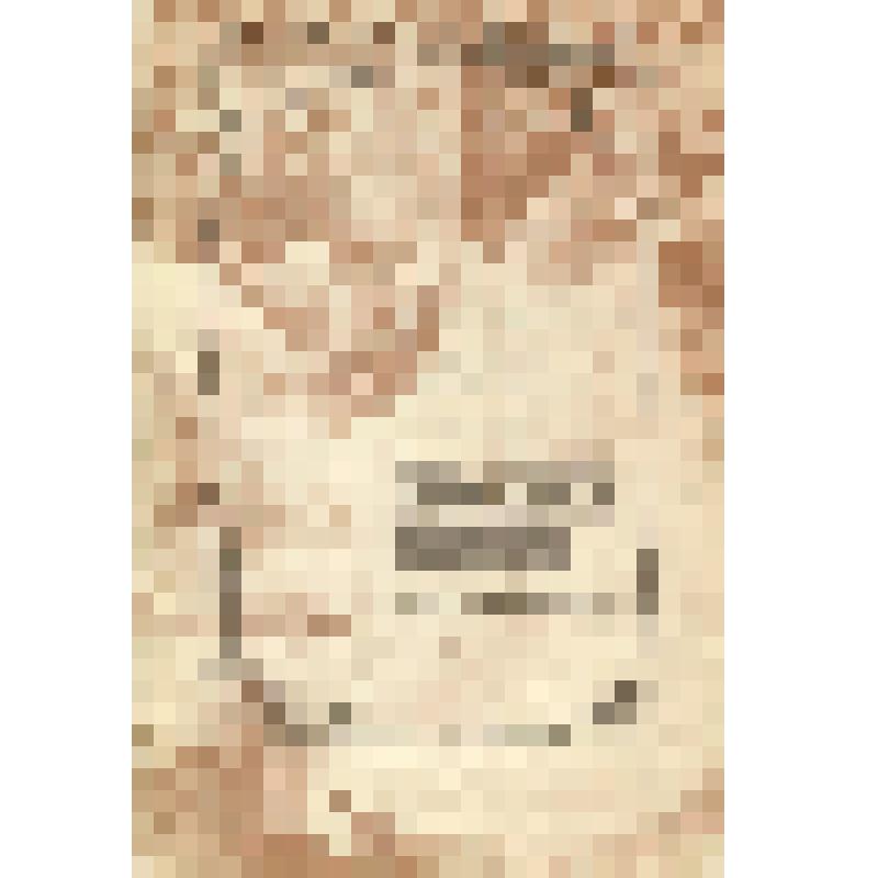 Брошюра. Брошюра. Художники Саратова 1885-1985 годы. Каталог выставки к 100-летию Саратовского государственного художественного музея имени А.Н. Радищева. – Саратов: 1991