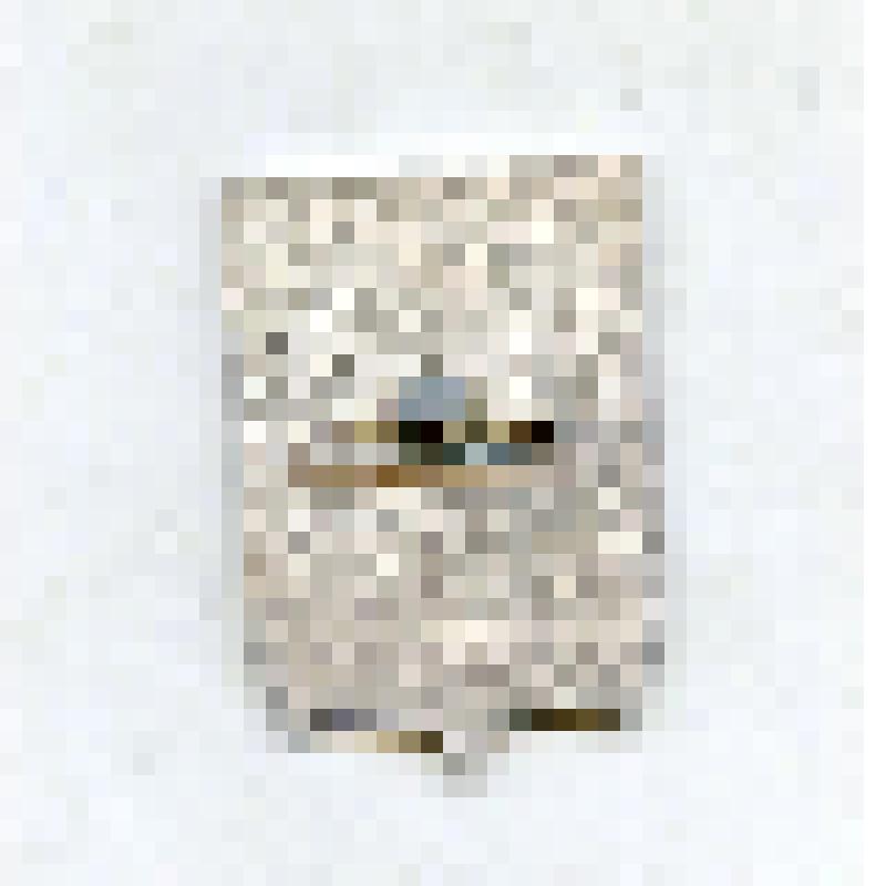 Значок "Якутия. Ленск". Из коллекции значков Самсоновой К.П