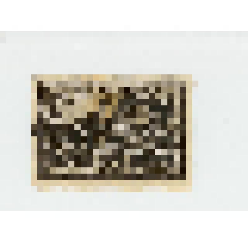 Марка почтовая. "Снаряды для фронта". 25-летие Великой Октябрьской социалистической революции (1917-1942) (Номинал- 5 копеек)