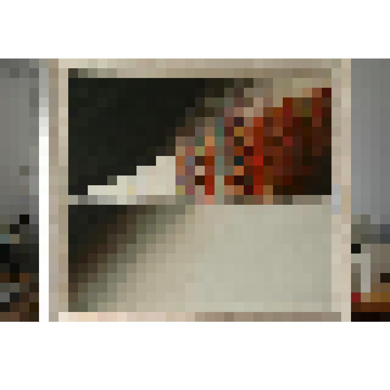 Этнографический этюд. Картина