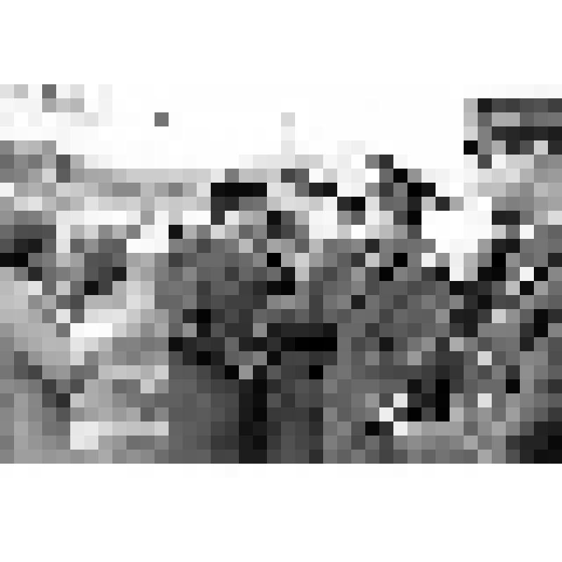 Строевой смотр личного состава во дворе отдела внутренних дел г.Азова