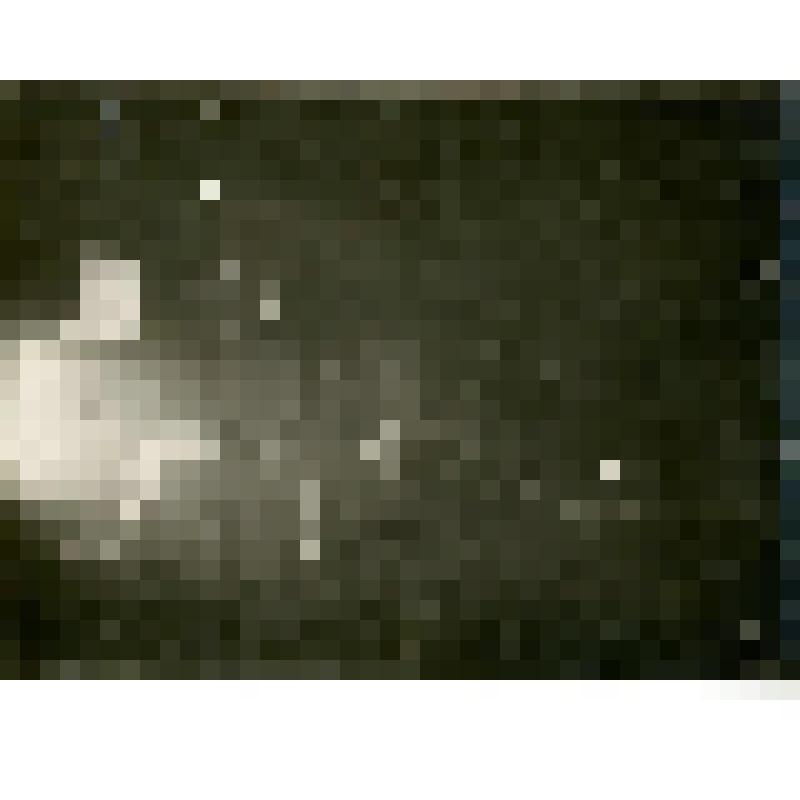 Фотография. Внутренность жилья на р. Джюде