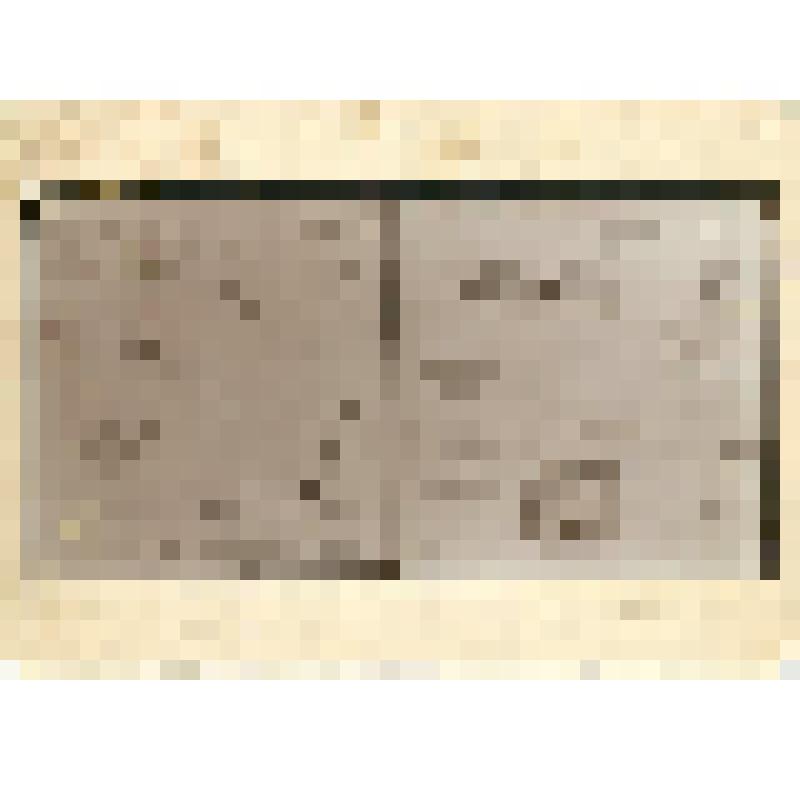 Фотография. План рекогносцировочной съемки месторождений железа, разрабатываемых инородцами Якутской области и план якутской печи-горка