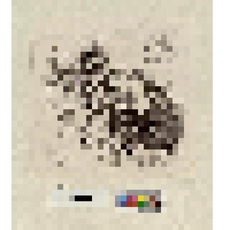 Кулачный бой на углу улицы