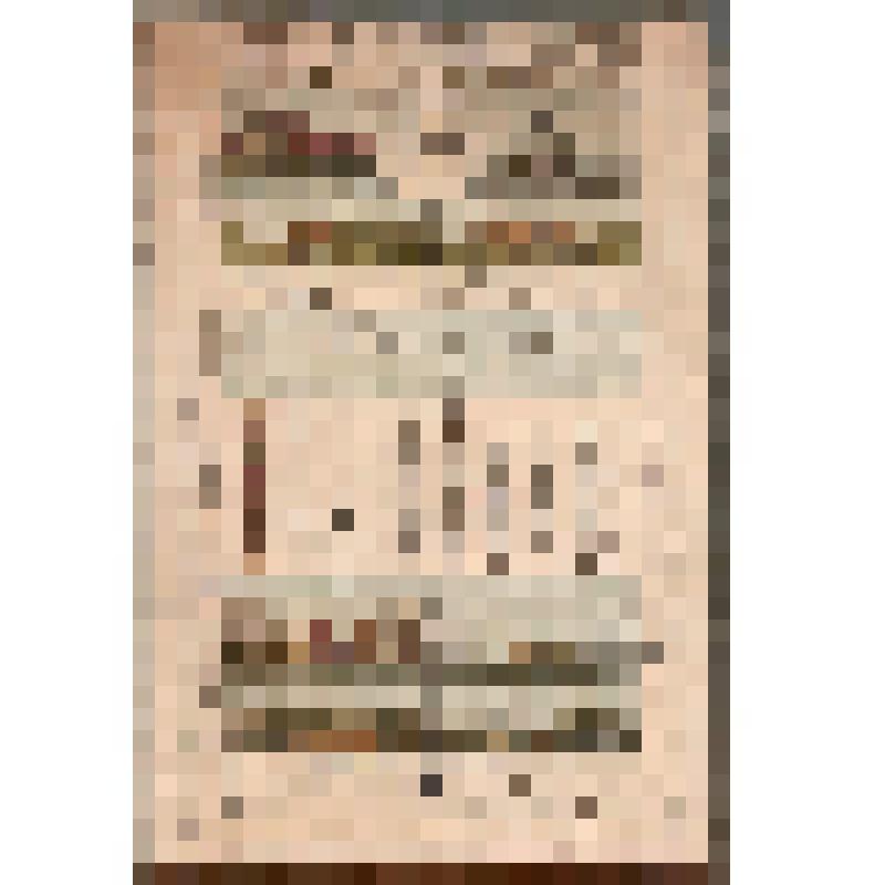 Иллюстрированная карта. Тобольская губерния. Из комплекта: Альбом географических карт России или детский гран-пасьянс