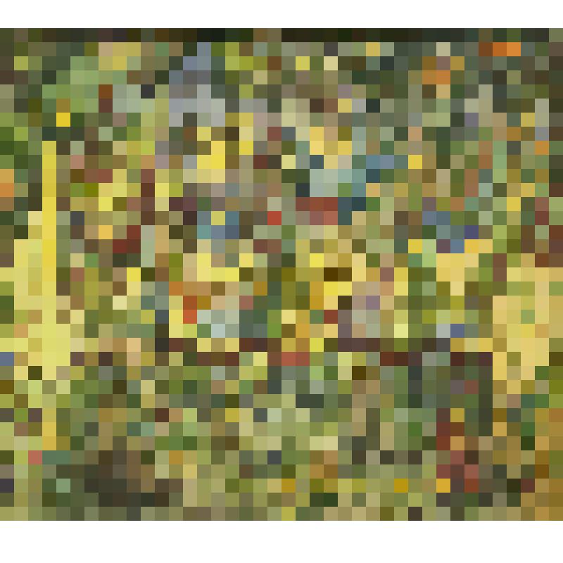 "Приключение Чиполлино"- Дж.Родари. Сцена "Огород и домик кума Тыквы". Эскиз декораций