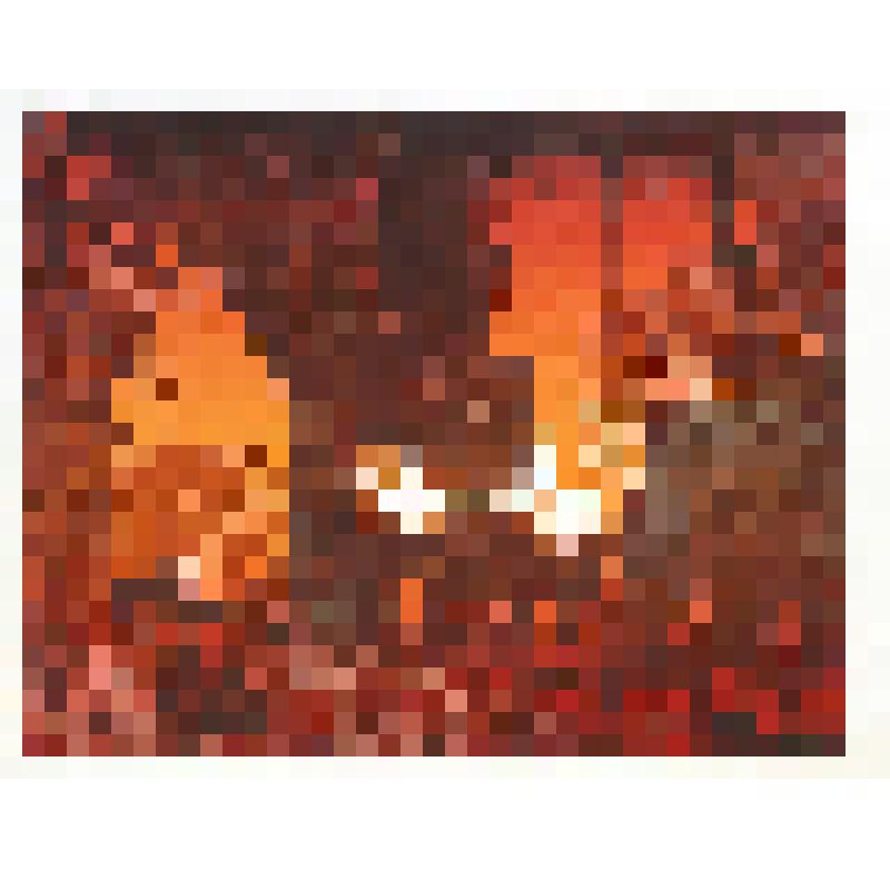 Сталь пошла