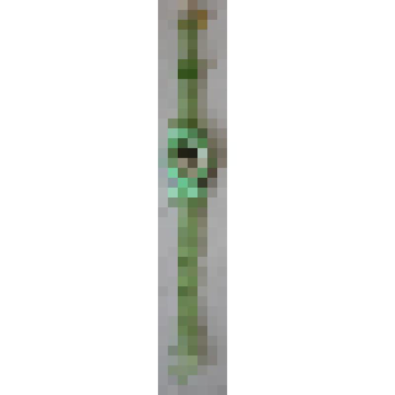 Часы "SPORT" наручные электронные детские