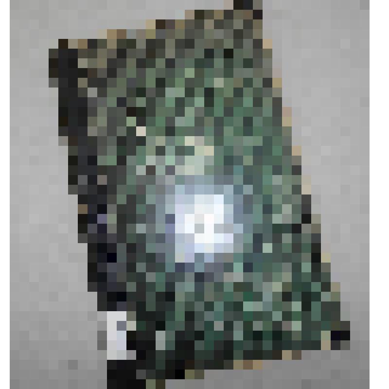 Книга. Отчет о действиях Сибирского отдела  Императорского Русского географического общества за 1869 год