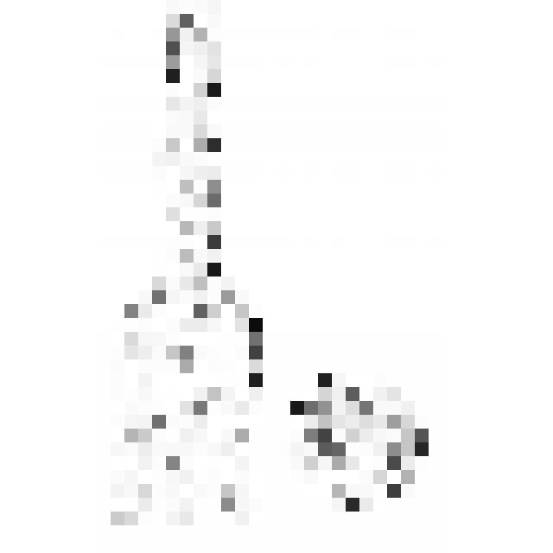 Бутылка с удлиненным горлышком, с фрагментом бумажной этикетки, темного зелено-коричневого стекла (СГ-06.4 И62)