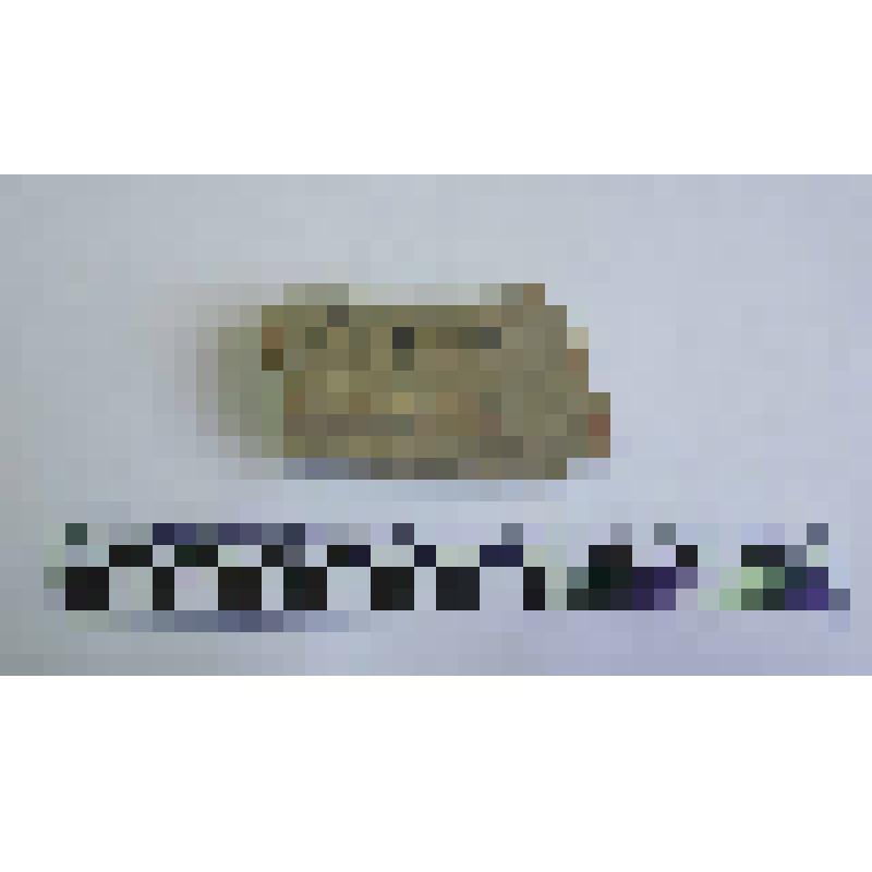 Ручка амфоры типа Зеест 72