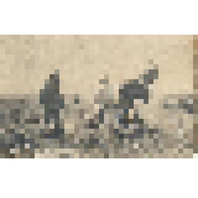 Открытка Кузнецов. Объезд владений