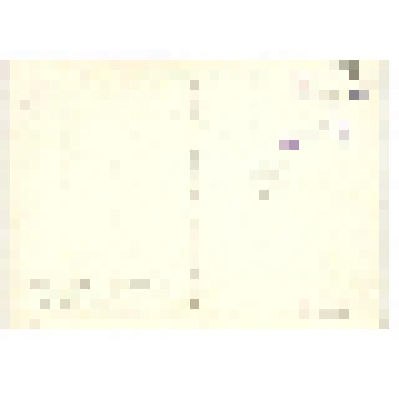 Открытка. Elsässisch Um 1460. Geburt Christi. [Для Эльзаса 1460. Рождество]