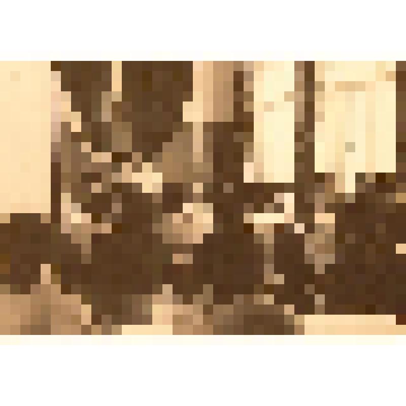 Фотография. Герман Степанович Балтин в чехословацком Турнове