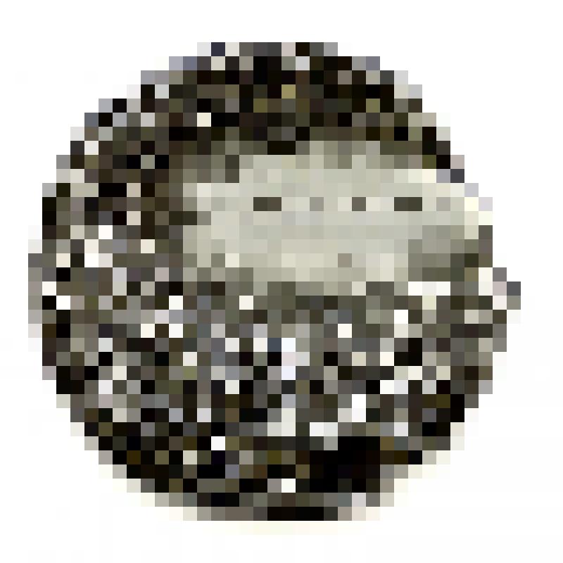 Целина. Год 1954. Медаль