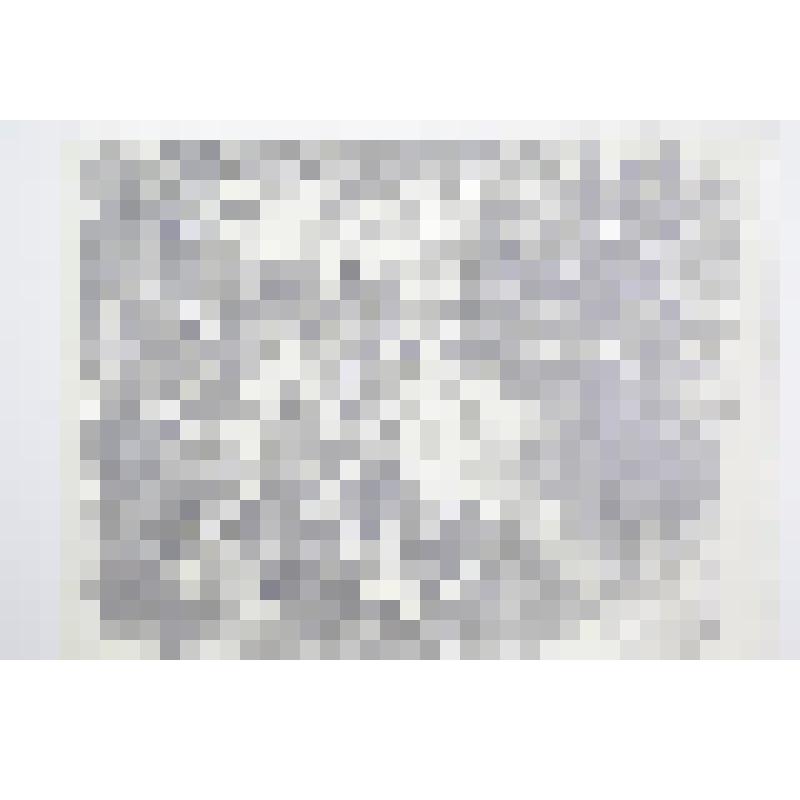 Заплатин М.А. в верховьях Печоры. Рисунок