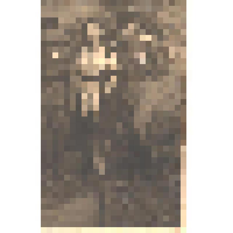 Командир 37 батареи с женой и ординарцем