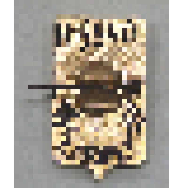 Значок "Переславль"