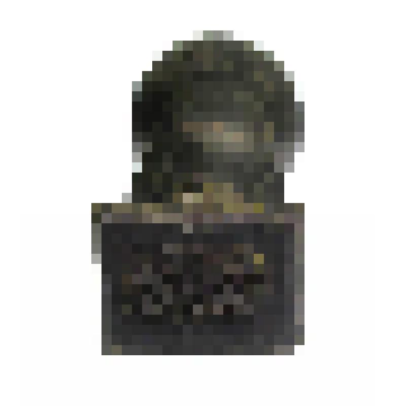 Надпечатка аббревиатуры ДВР