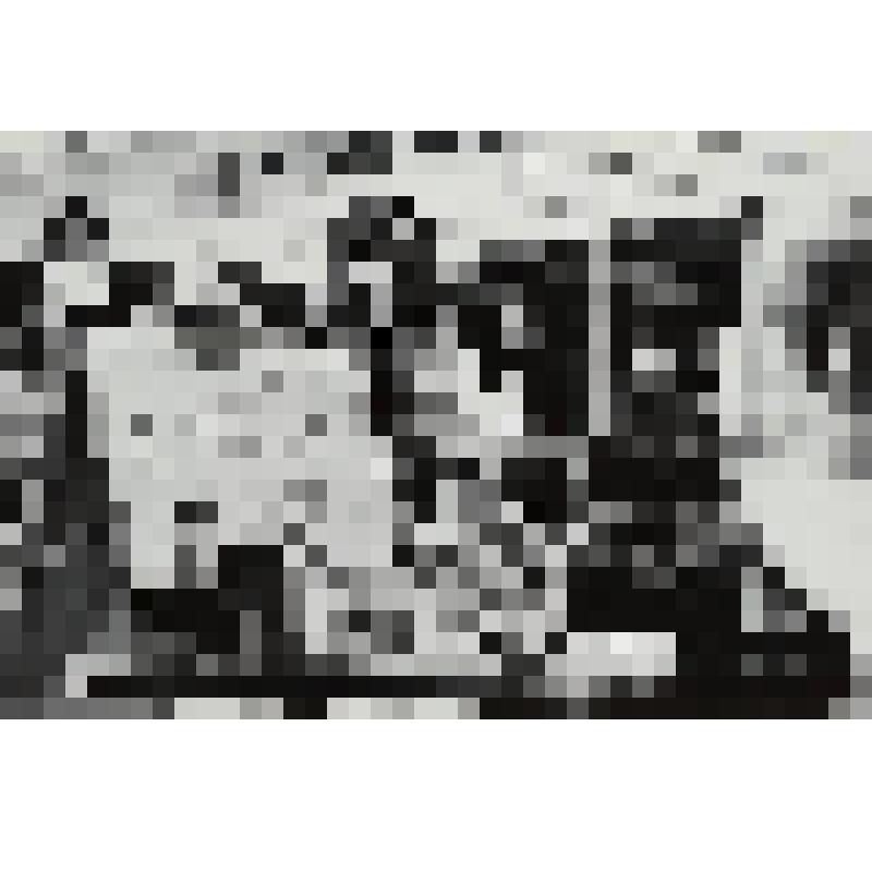 Серия: Люди и не только. Фотография. Morning offer / Утреннее предложение