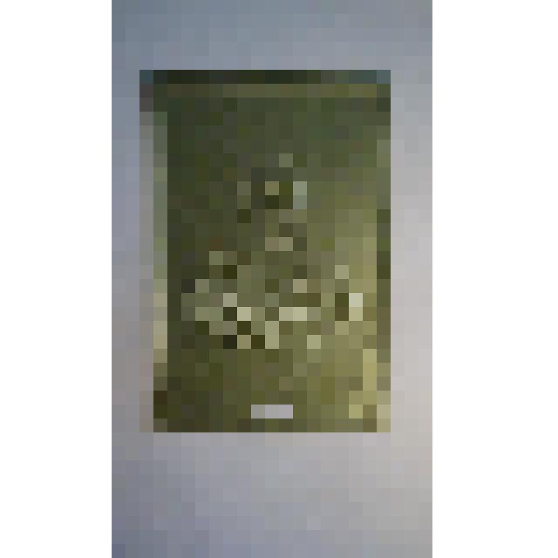 ПортретА.П.Чехова. Барельеф на картоне