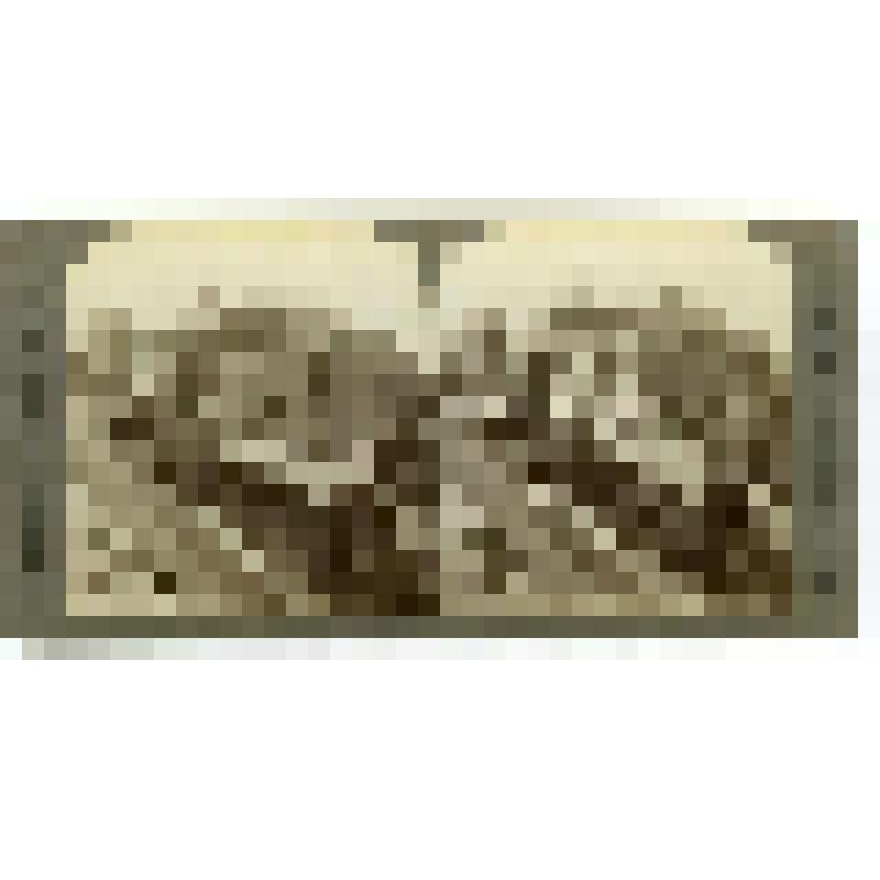 Театр оперы и балета. 1884-87 гг. Украина, г. Одесса. Театр оперы и балета. Фельнер Ф.; Гельмер Г. Общий вид. Стереопара. Underwood & Underwood