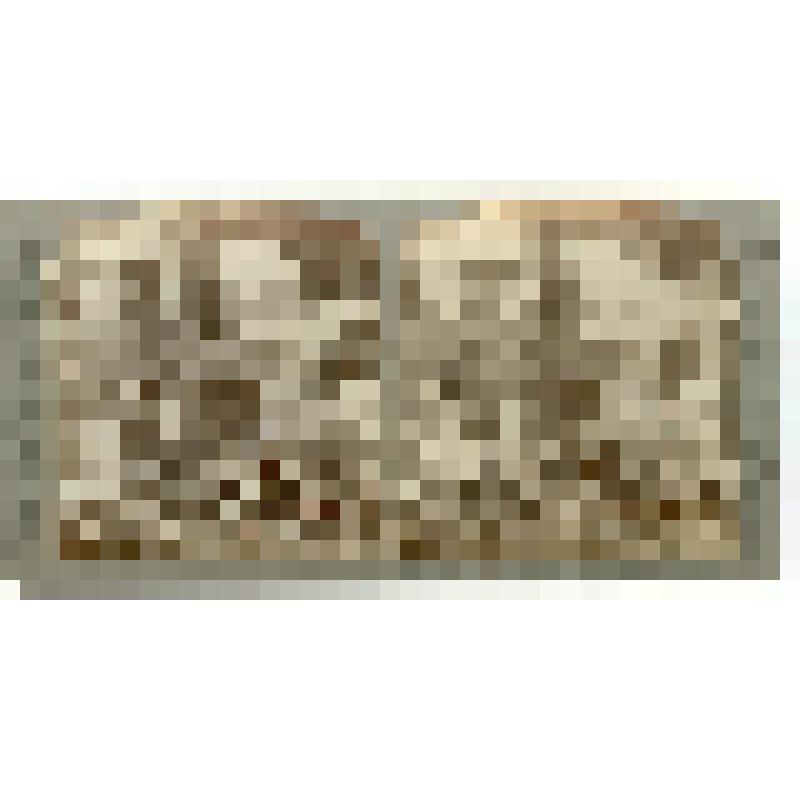 Дворец Сан-Суси. 1745-47 гг. Германия. Потсдам. Сан-Суси. Шарлотенгоф. Вид на павильон, фрагмент парка. Underwood & Underwood