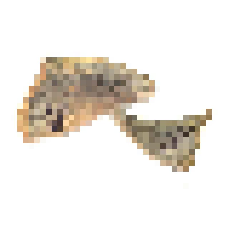 Кружка (фрагмент)