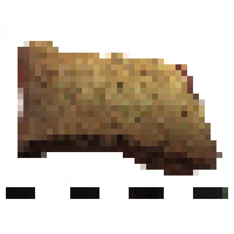 Фрагмент средней части горла амфоры типа D с дипинто