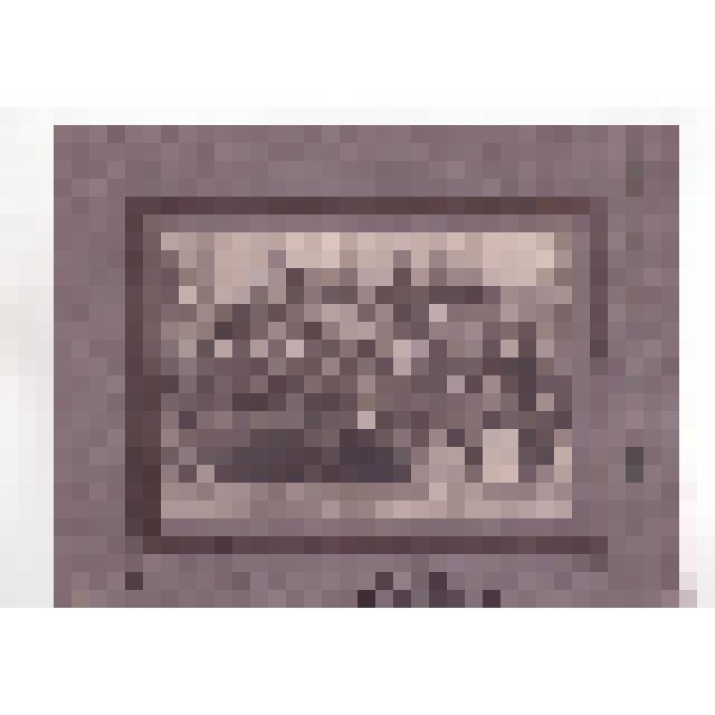 Открытие Саранской электростанции