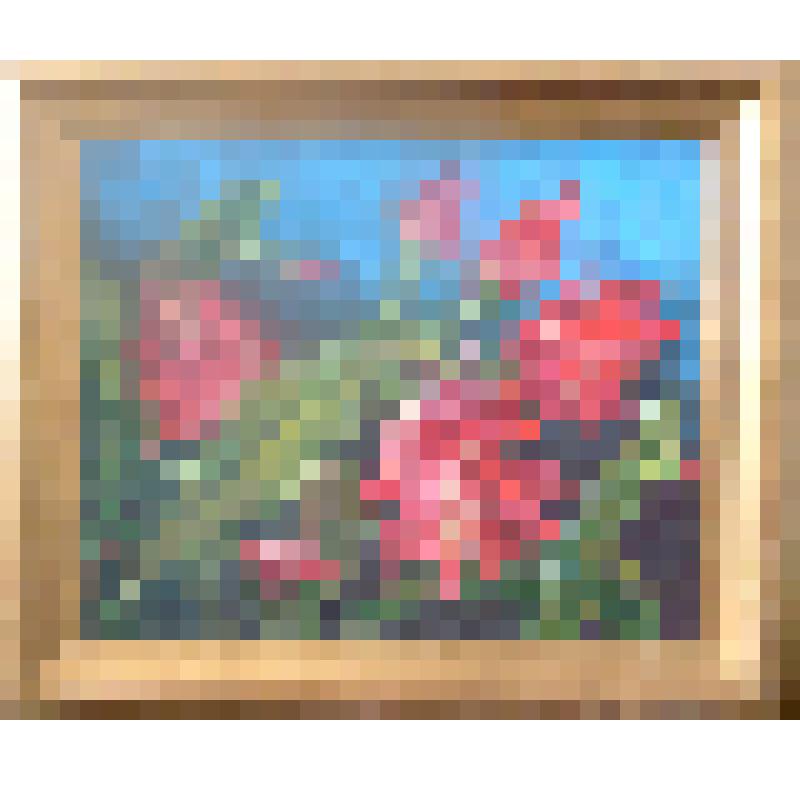 «Цветущий кактус»