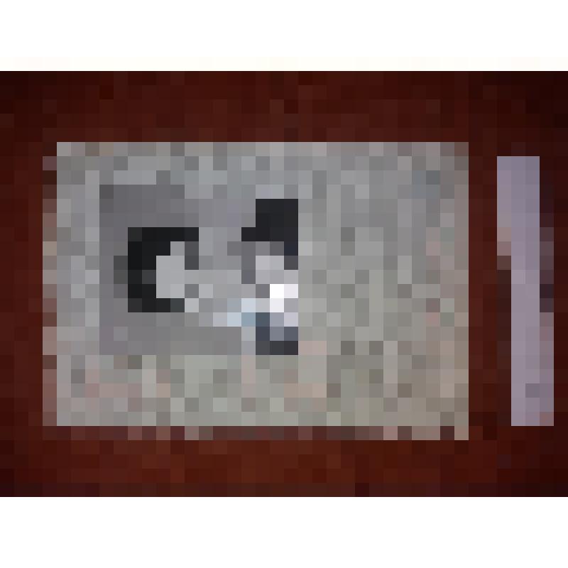 Фотография (черно-белая), погрудная с паспорта, на снимке Добрикова (Короткова) Анна Васильевна