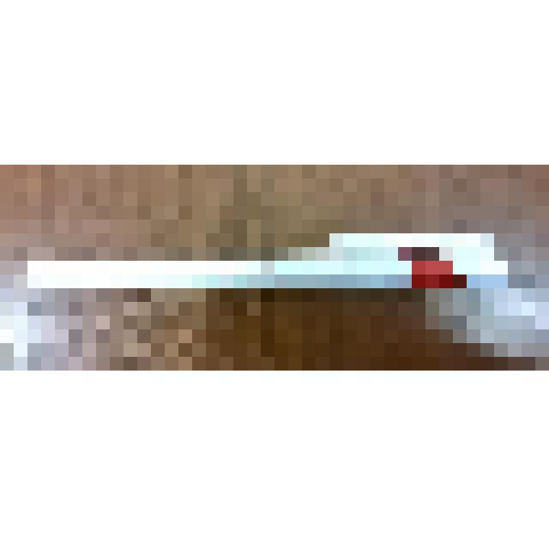 Прибор для письма. Ручка шариковая, выпущенная к 100-летию со дня рождения Н.А.Островского