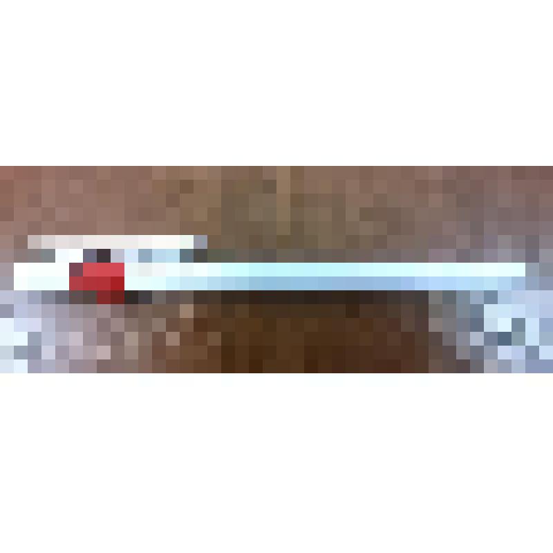 Прибор для письма. Ручка шариковая, выпущенная к 100-летию со дня рождения Н.А.Островского