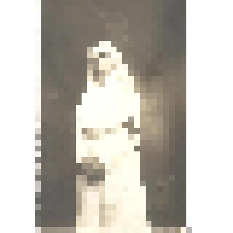 Фотография ч/б. Загорская Е.С.  – во весь рост в форме сестры милосердия