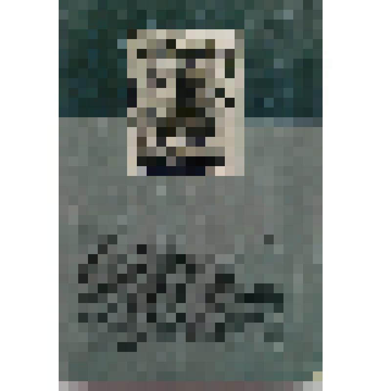 Книга. Гузий В. С. "Образ действия"