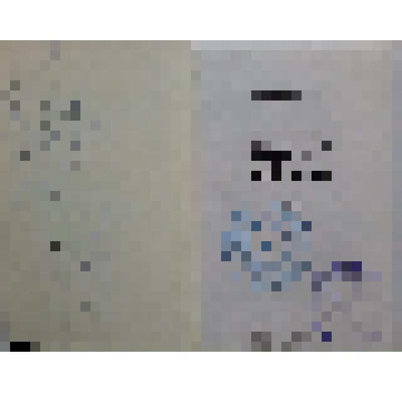 Книга. Гузий В. С. "Образ действия"