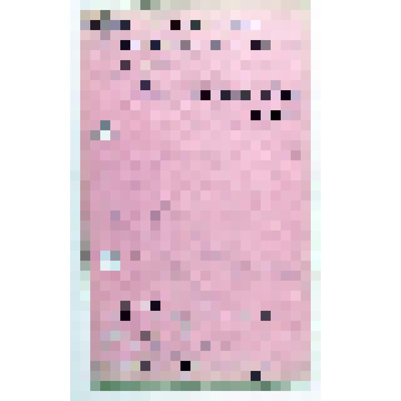 Лист с библиографическими записями по паразитологии растений Вавилова Н.И., сотрудника кафедры частного земледелия Московского сельскохозяйственного института