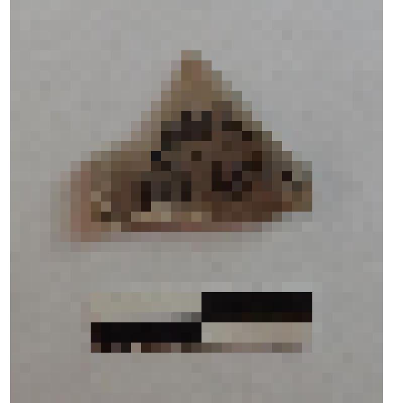 Скол
